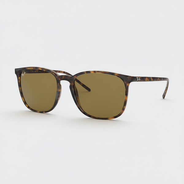 Ray-Ban RB4387 Sunglasses - Tortoise/Brown Classic B-15 — main view
