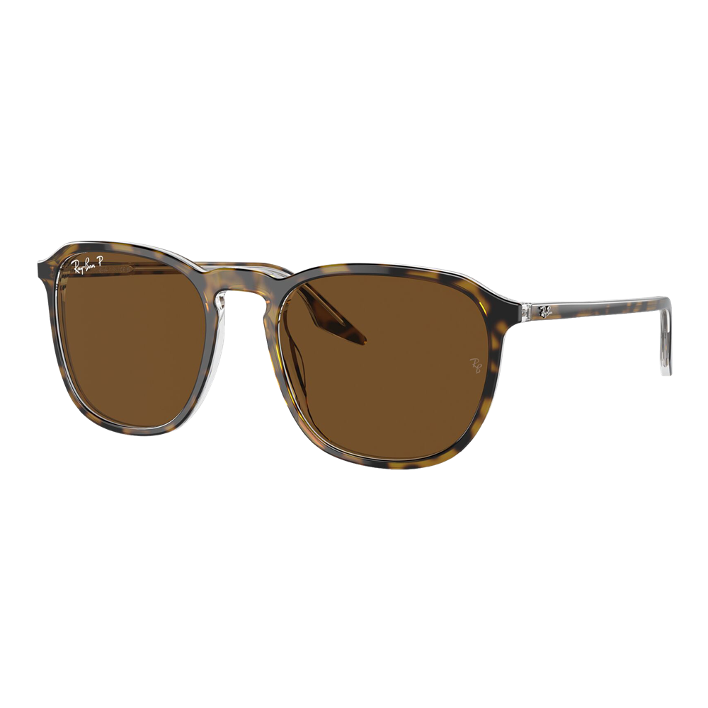 Ray-Ban Polarized RB2203 Sunglasses - Havana/Polarized Brown Classic B-15 — main view