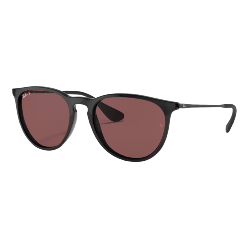 Ray-Ban Polarized Womens Erika Classic Sunglasses — main view