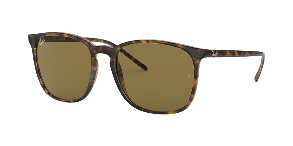 Ray-Ban RB4387 Sunglasses - Tortoise/Brown Classic B-15 — main view