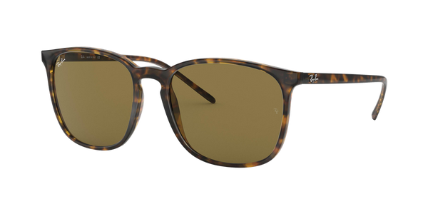 Ray-Ban RB4387 Sunglasses - Tortoise/Brown Classic B-15 — main view
