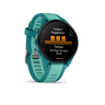 Turquoise/Aqua