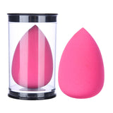 Shampoo Brush & Scalp Massager & Makeup Sponge