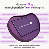 mescreen™ Mitochondrial Function Test + Healthcare Provider Consult — view 3